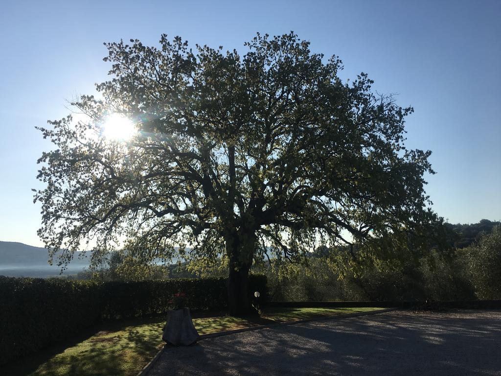 Agriturismo Pian Del Vescovo มัสซามาริตติมา ภายนอก รูปภาพ